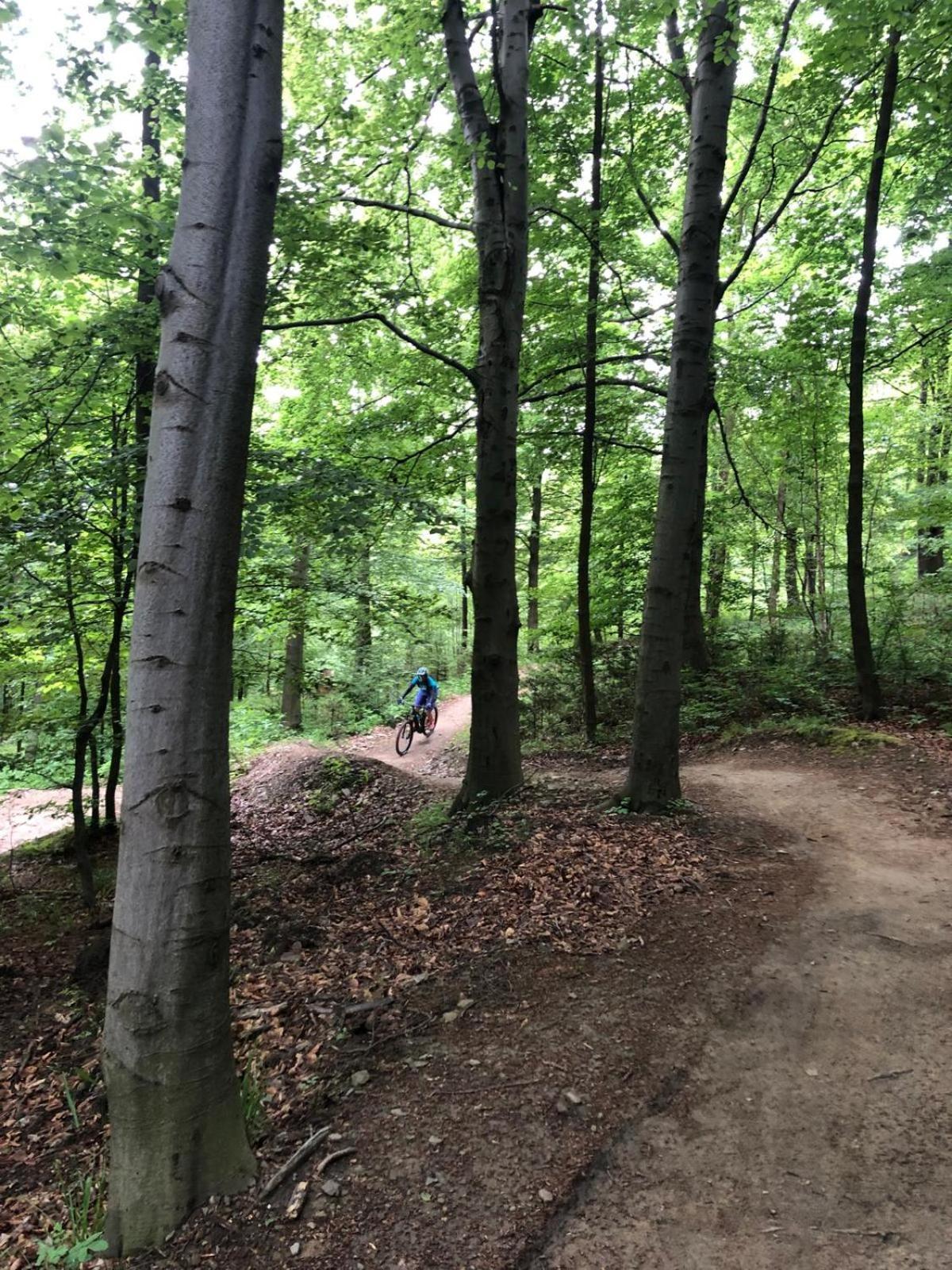 Domek Zgredek Żywiec Exteriér fotografie
